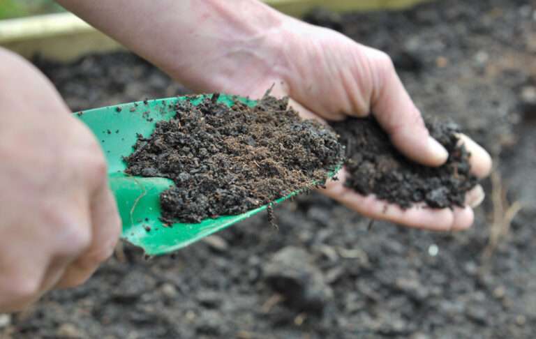 5 Proven Ways to Improve Soil Quality for Landscaping