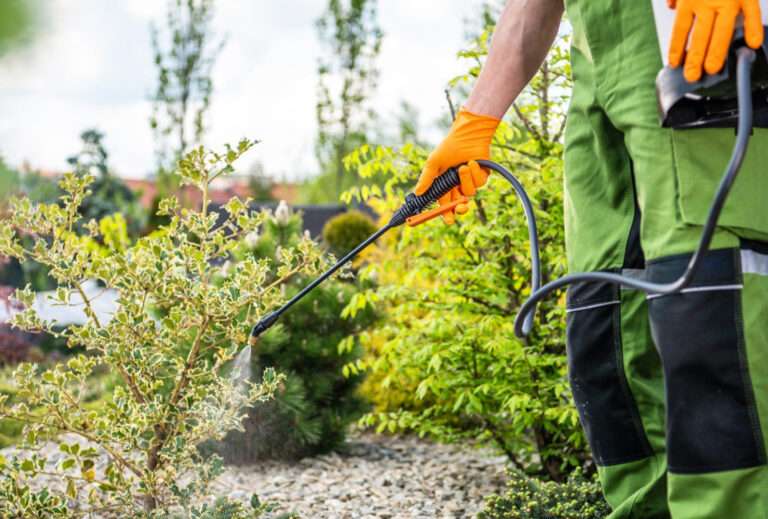 Proven Strategies for Effective Weed Control on Commercial Sites