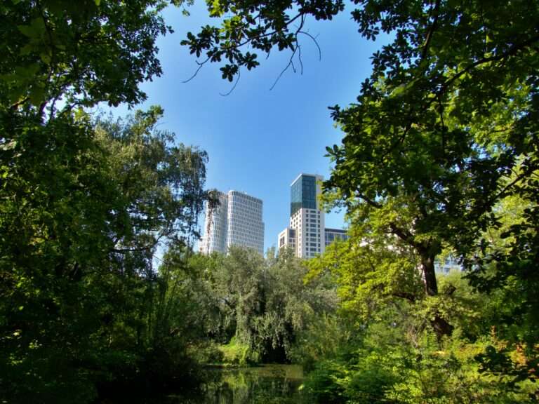 Designing Woodlands for Business Sites: Smart, Sustainable & Visually Impactful Spaces