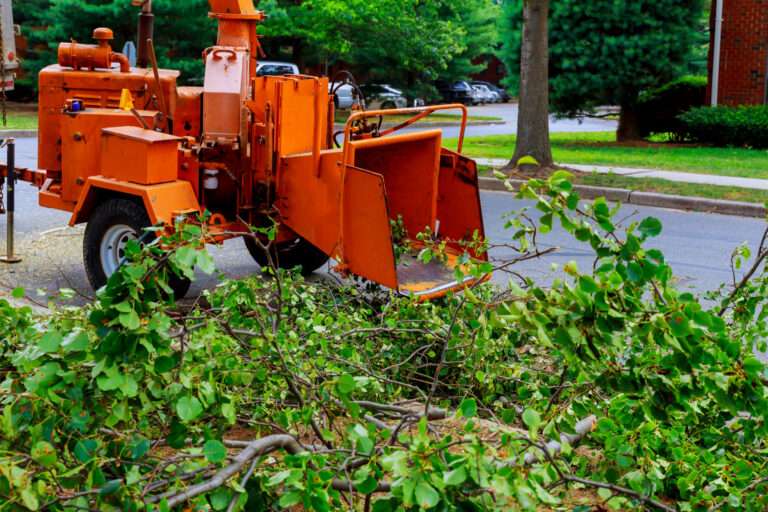 Safe and Effective Vegetation Removal: A Practical Guide for Commercial Sites