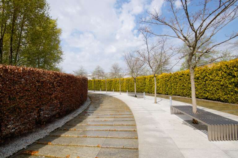 Big Impact, Instant Results: The Benefits of Semi-Mature Trees in Landscaping