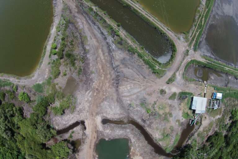 Restoring Land for Business Use: Proven Strategies for Profitable Development