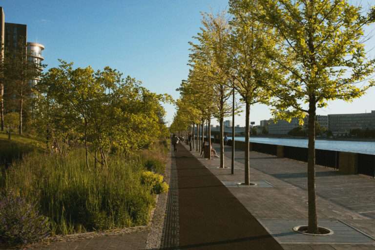 Sustainable Tree Pit Designs: Greener Solutions for Long-Lasting Urban Landscapes
