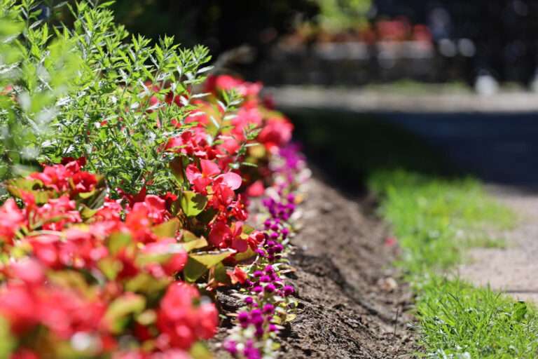 How to Keep Flower Beds Blooming All Year: A UK Maintenance Strategy That Works