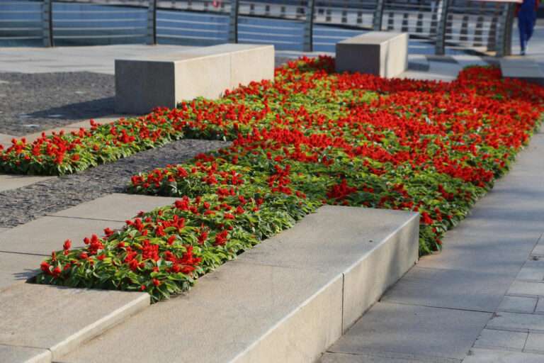 7 Clever Flower Bed Design Ideas to Boost Your Commercial Kerb Appeal