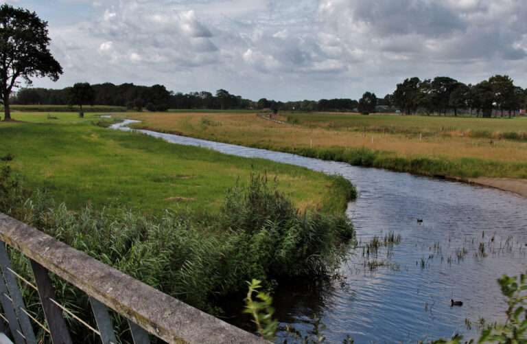Strengthening Riverbanks: Proven Strategies for Stabilisation and Erosion Control