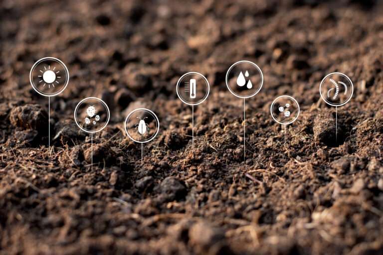 The Hidden Power of Enhanced Soil: Why It Matters More Than You Think