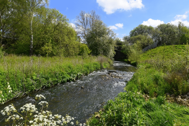 7 Game-Changing Benefits of Land Restoration for Businesses and the Environment