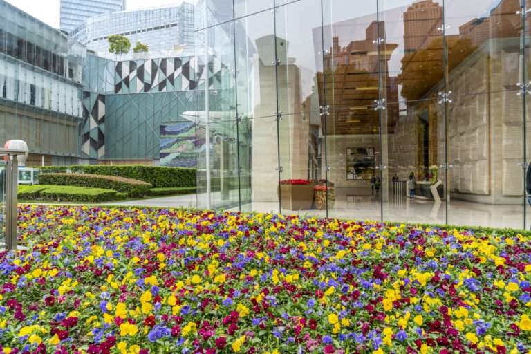 Seasonal Planting Ideas to Transform Commercial Outdoor Spaces All Year Round