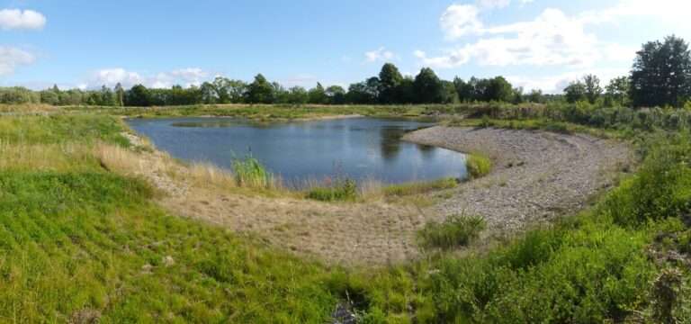 Smarter Flood Protection: What Are Sustainable Drainage Systems (SuDS) and Why They Matter
