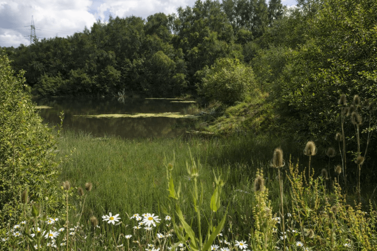 From Planning to Spades in the Ground: Getting Ecological Enhancements Delivered Properly