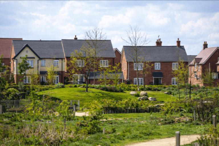 Ecological Enhancements in Development Projects: How Real Environmental Gains Are Properly Delivered