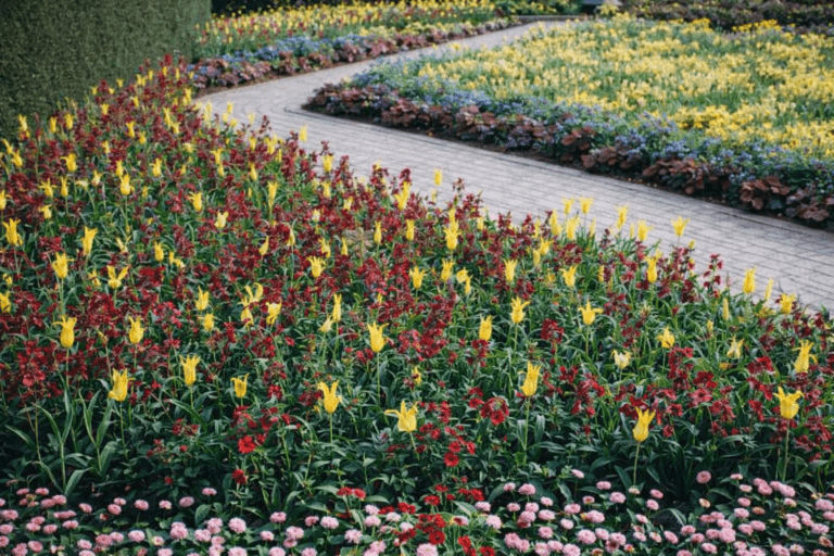 Seasonal Bedding Schemes That Work All Year: How to Plan Summer and Winter Displays Without the Headache