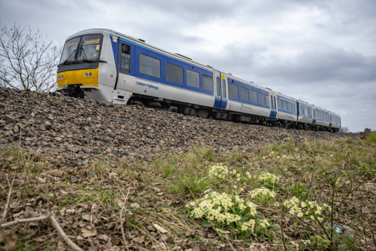 Designing Wildlife Corridors That Actually Work – Roads, Railways and Real-World Urban Mess
