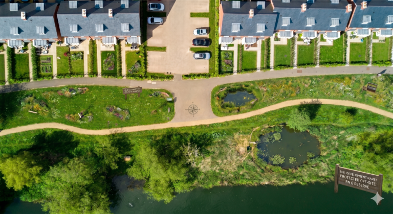 On-Site vs Off-Site BNG: How to Choose the Right Approach for Your Development