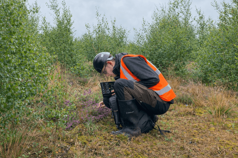 Before You Break Ground: 9 Hard Truths About Ecological Surveys Most Developers Learn Too Late